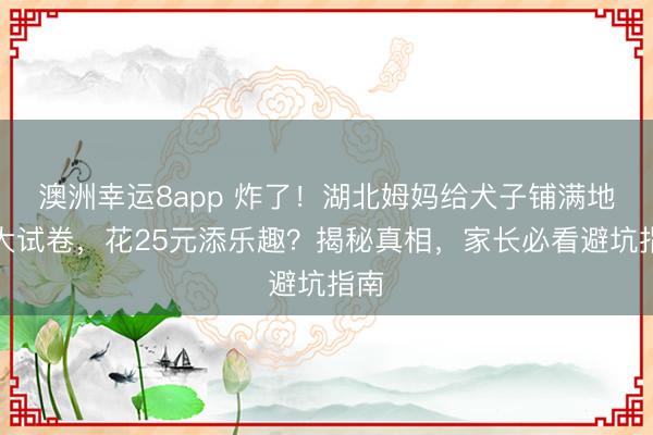 澳洲幸运8app 炸了!湖北姆妈给犬子铺满地超大试卷,花25元添乐趣?揭秘真相,家长必看避坑指南