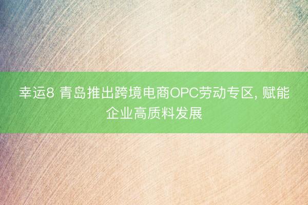 幸运8 青岛推出跨境电商OPC劳动专区， 赋能企业高质料发展