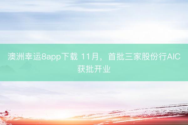 澳洲幸运8app下载 11月，首批三家股份行AIC获批开业