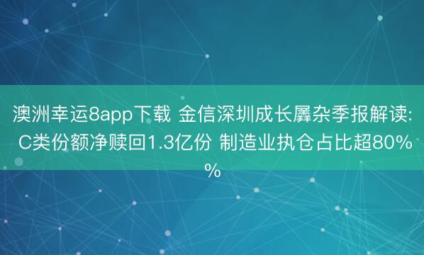 澳洲幸运8app下载 金信深圳成长羼杂季报解读: C类份额净赎回1.3亿份 制造业执仓占比超80%
