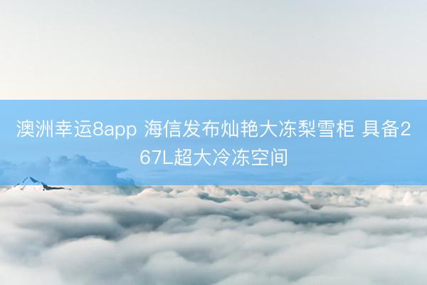 澳洲幸运8app 海信发布灿艳大冻梨雪柜 具备267L超大冷冻空间