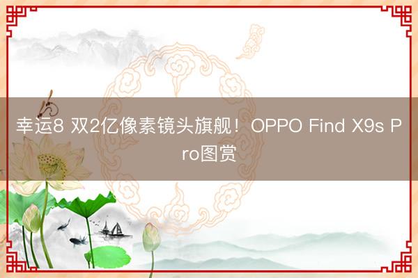 幸运8 双2亿像素镜头旗舰！OPPO Find X9s Pro图赏