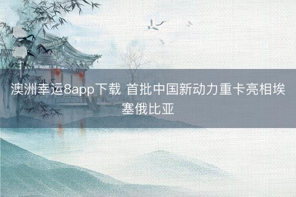 澳洲幸运8app下载 首批中国新动力重卡亮相埃塞俄比亚
