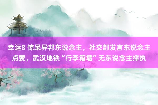 幸运8 惊呆异邦东说念主，社交部发言东说念主点赞，武汉地铁“行李箱墙”无东说念主撑执