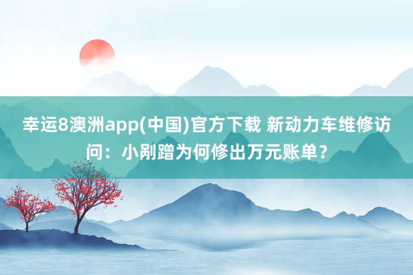 幸运8澳洲app(中国)官方下载 新动力车维修访问：小剐蹭为何修出万元账单？