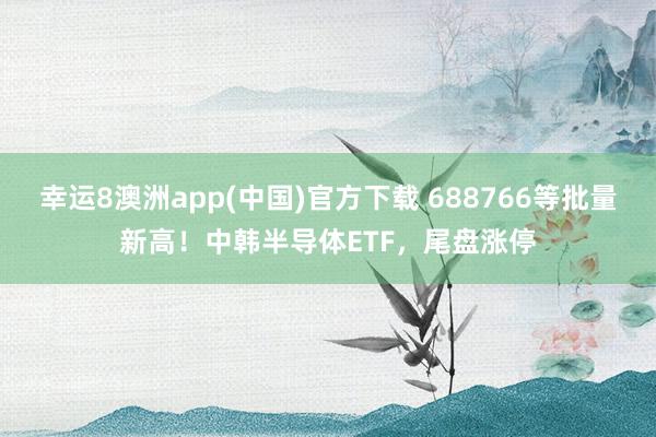 幸运8澳洲app(中国)官方下载 688766等批量新高！中韩半导体ETF，尾盘涨停