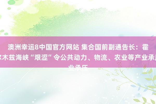 澳洲幸运8中国官方网站 集合国前副通告长：霍尔木兹海峡“艰涩”令公共动力、物流、农业等产业承压