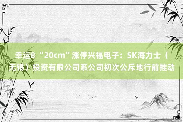 幸运8 “20cm”涨停兴福电子：SK海力士（无锡）投资有限公司系公司初次公斥地行前推动