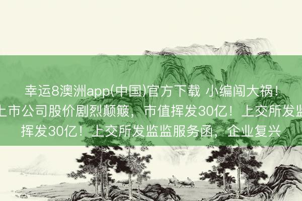 幸运8澳洲app(中国)官方下载 小编闯大祸！一篇“小作文”致百亿上市公司股价剧烈颠簸，市值挥发30亿！上交所发监监服务函，企业复兴