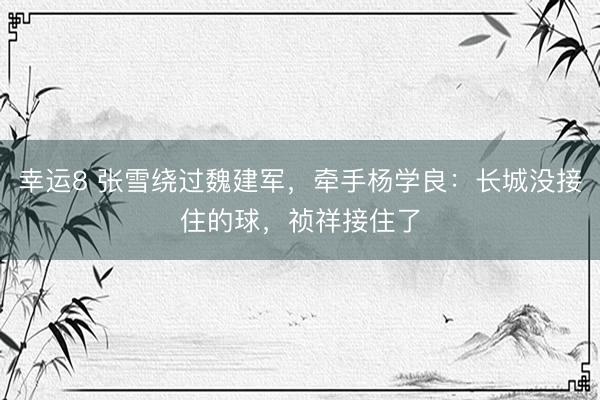 幸运8 张雪绕过魏建军,牵手杨学良:长城没接住的球,祯祥接住了