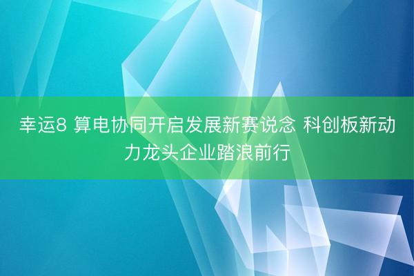 幸运8 算电协同开启发展新赛说念 科创板新动力龙头企业踏浪前行
