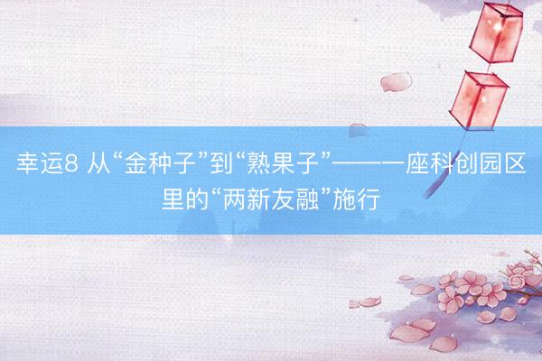 幸运8 从“金种子”到“熟果子”——一座科创园区里的“两新友融”施行