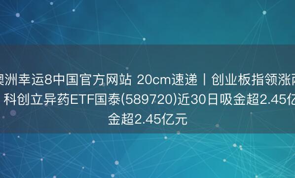 澳洲幸运8中国官方网站 20cm速递丨创业板指领涨两市, 科创立异药ETF国泰(589720)近30日吸金超2.45亿元